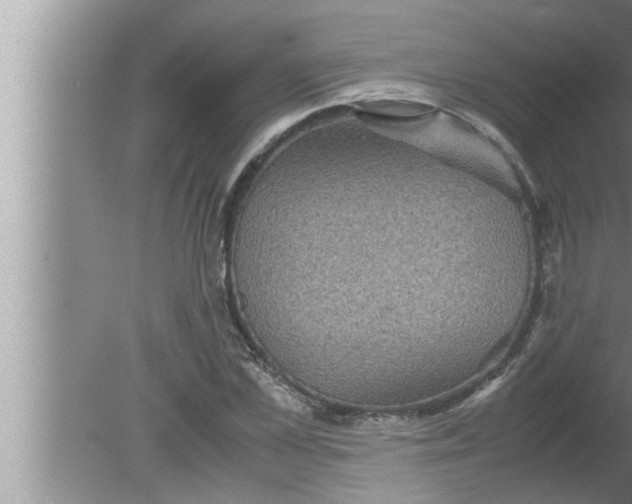 X0000080160973200612302149