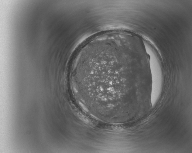 X0000080160975200612302149