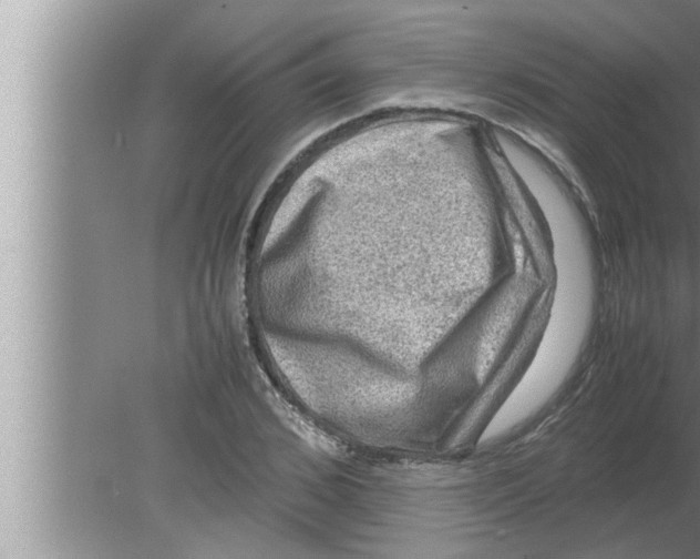 X0000080160976200612302149