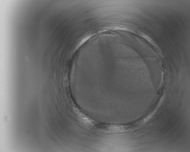 X0000080160977200612302149