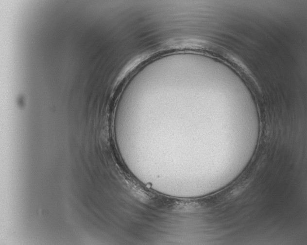 X0000080160978200612302149