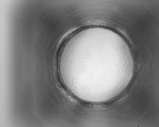 X0000080160979200612302149