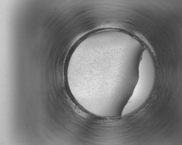 X0000080160980200612302149