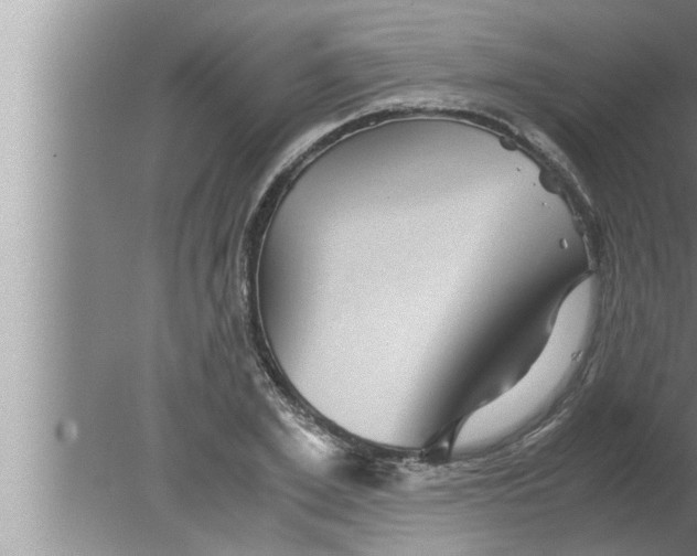 X0000080160981200612302149