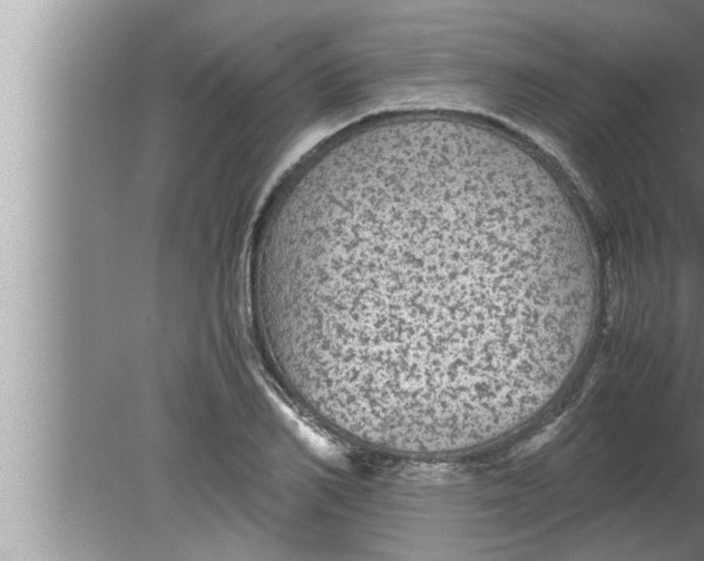 X0000080160982200612302149