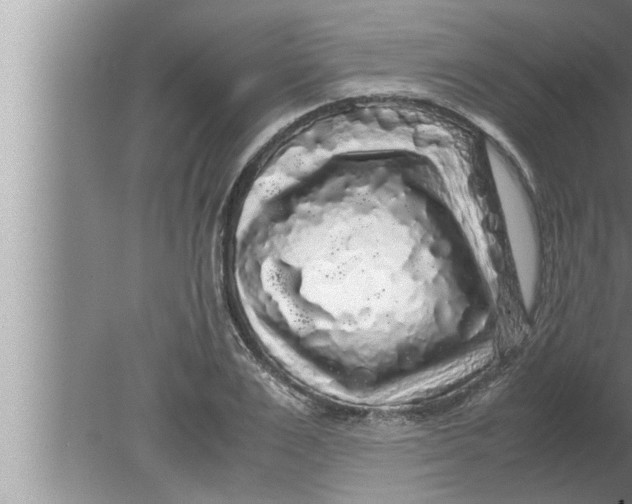 X0000080160983200612302149