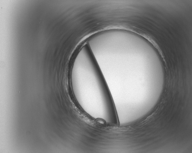 X0000080160984200612302149