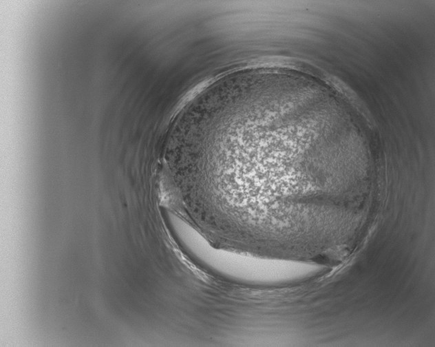 X0000080160985200612302149