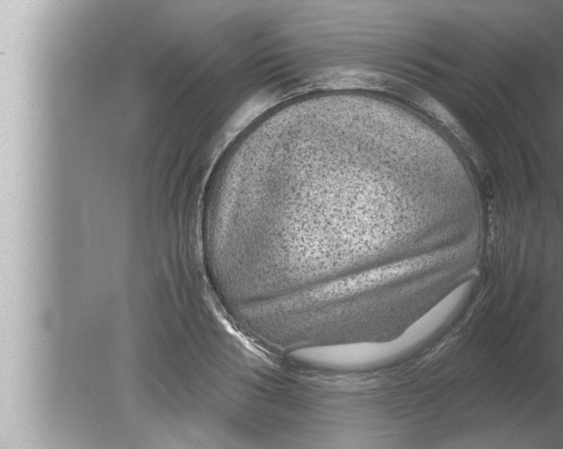 X0000080160986200612302149