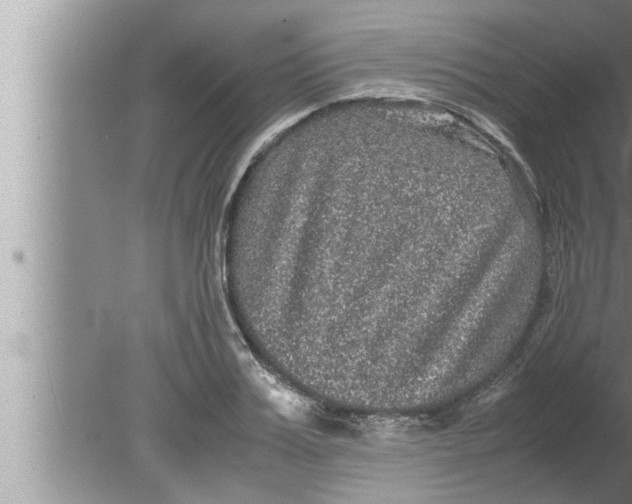 X0000080160987200612302149