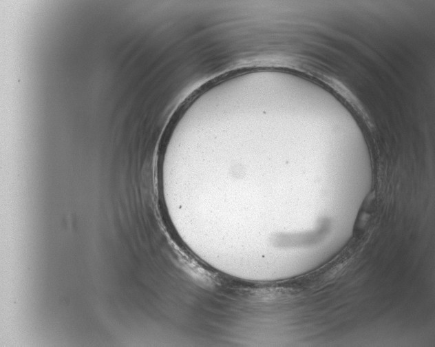 X0000080160988200612302149