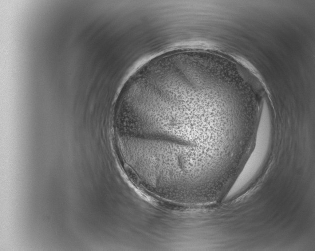 X0000080160989200612302149