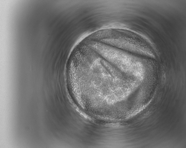 X0000080160990200612302149