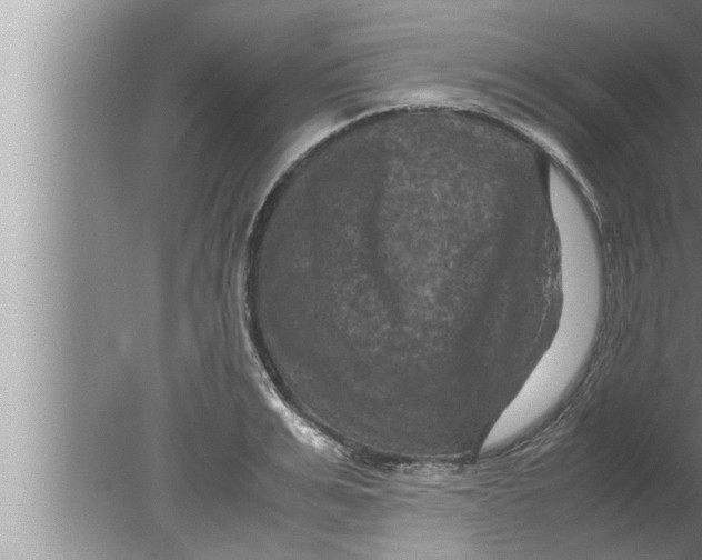 X0000080160991200612302149