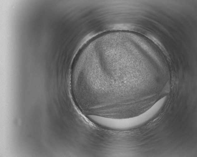 X0000080160992200612302149