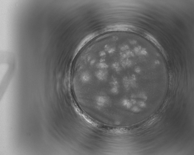 X0000080160994200612302149