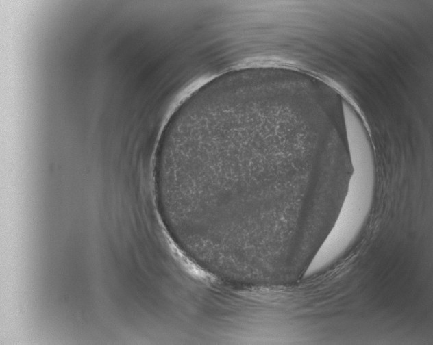 X0000080160995200612302149