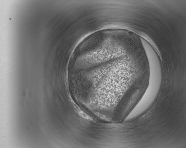 X0000080160996200612302149