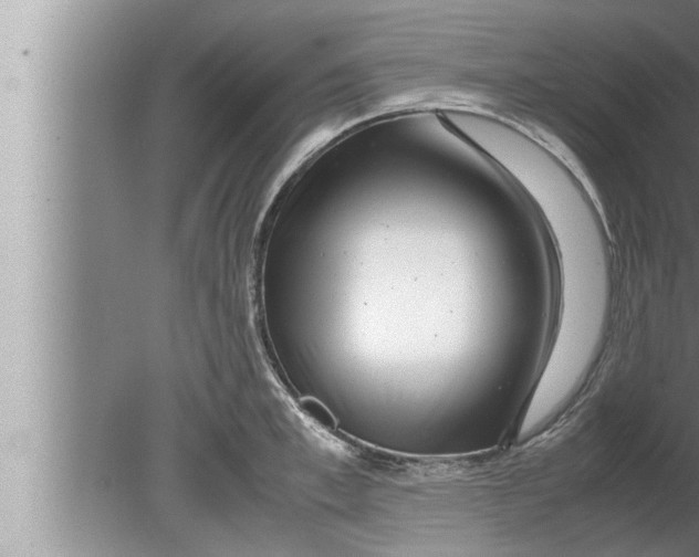 X0000080160997200612302149