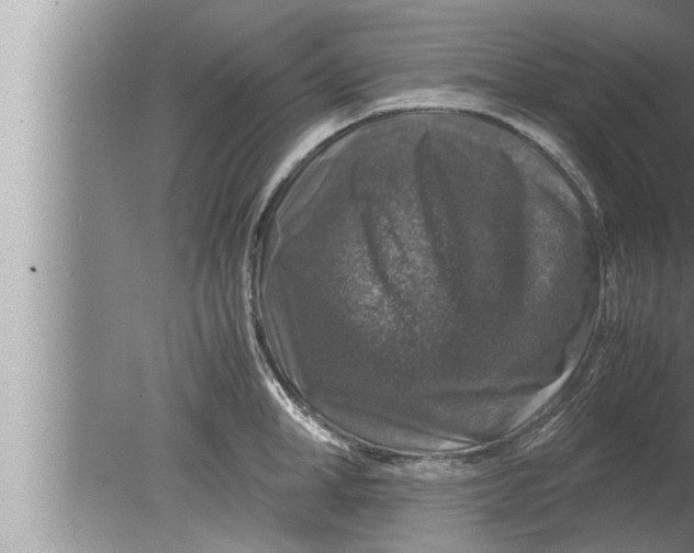 X0000080160998200612302149