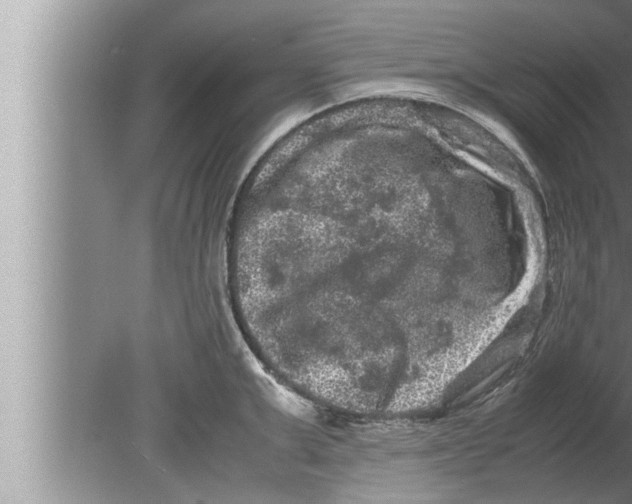 X0000080160999200612302149