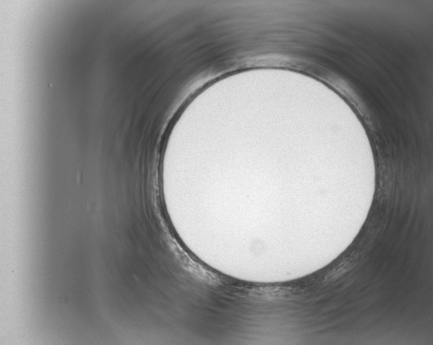 X0000080161000200612302149