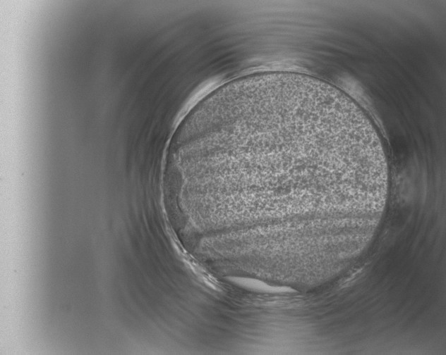 X0000080161002200612302149