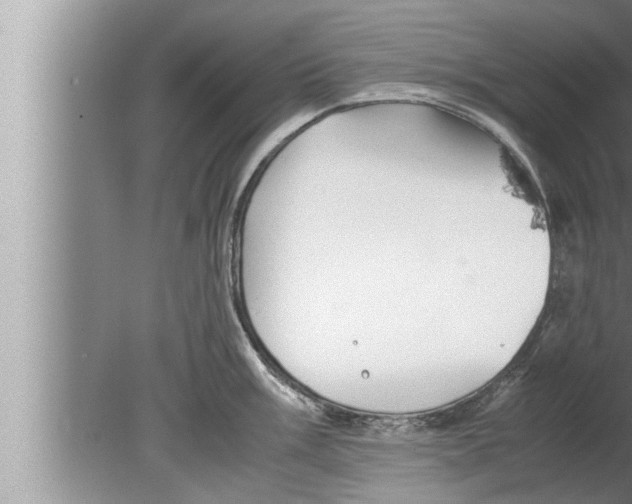 X0000080161003200612302149