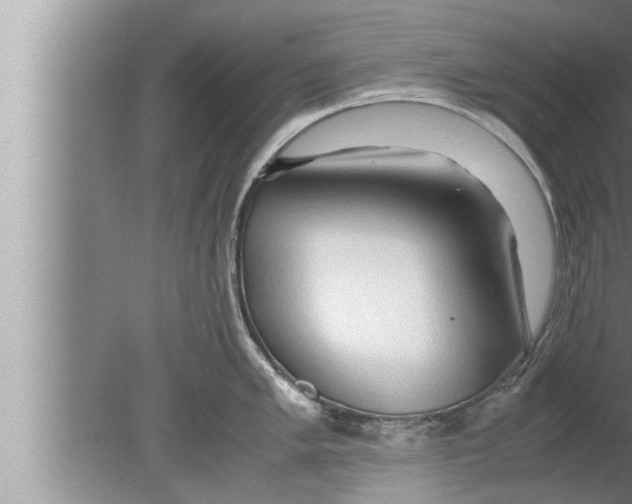 X0000080161005200612302148