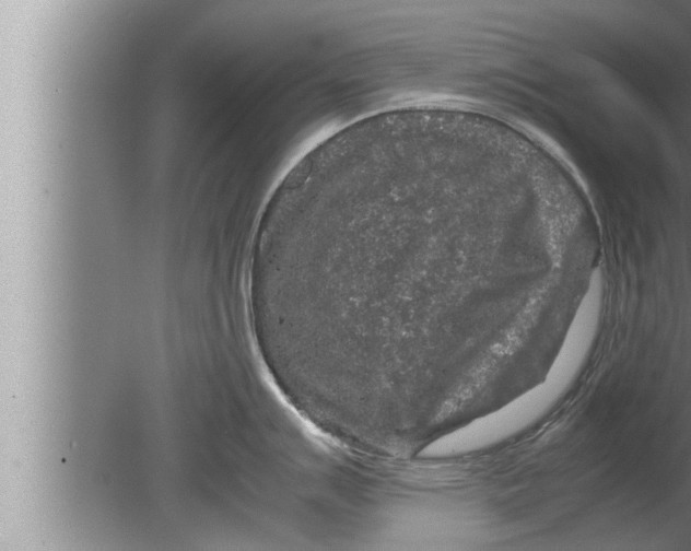 X0000080161007200612302148