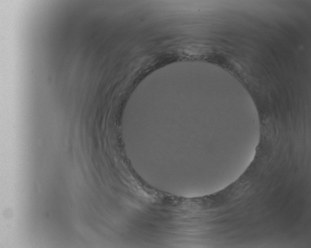 X0000080161009200612302148