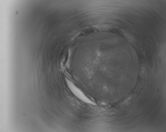 X0000080161010200612302148