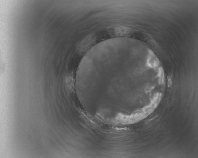 X0000080161011200612302148