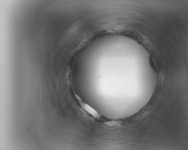 X0000080161012200612302148