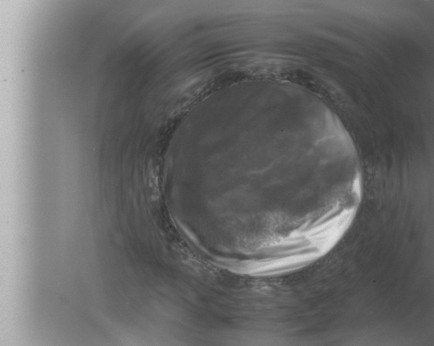 X0000080161013200612302148