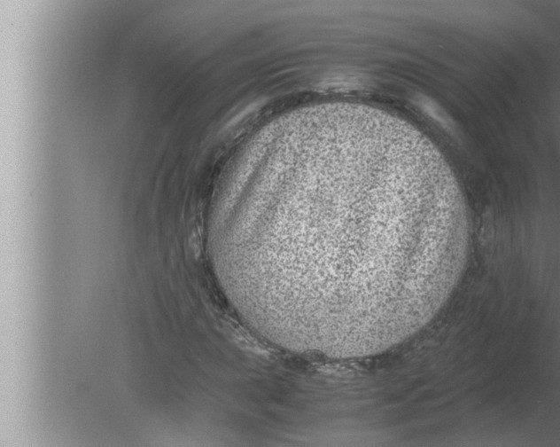 X0000080161015200612302148