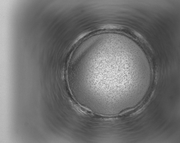 X0000080161017200612302148