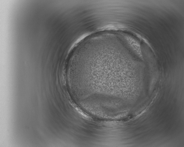 X0000080161018200612302148