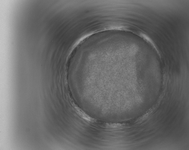 X0000080161019200612302148