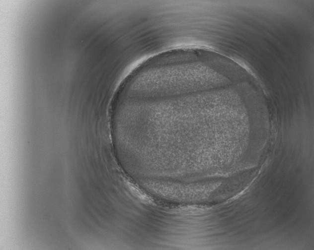 X0000080161022200612302148