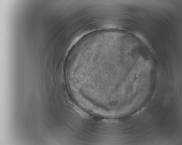 X0000080161023200612302148