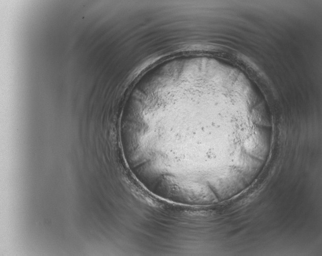 X0000080161025200612302148