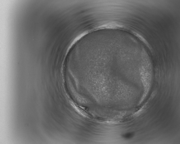 X0000080161026200612302148