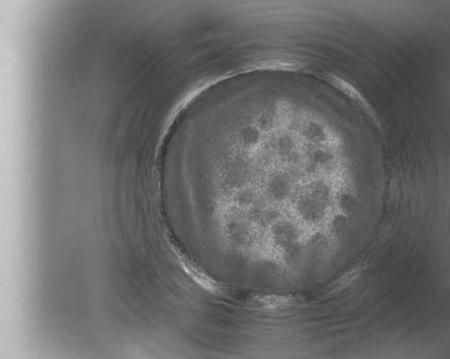 X0000080161027200612302148