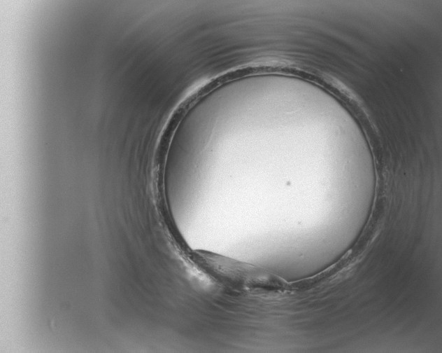 X0000080161029200612302148