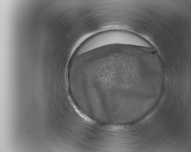 X0000080161030200612302148