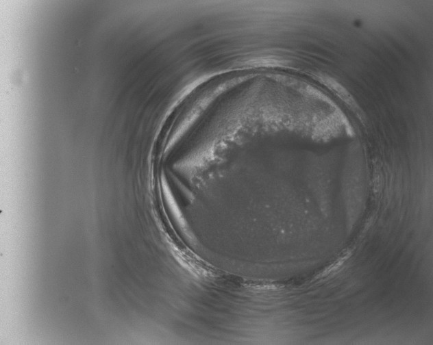 X0000080161031200612302148