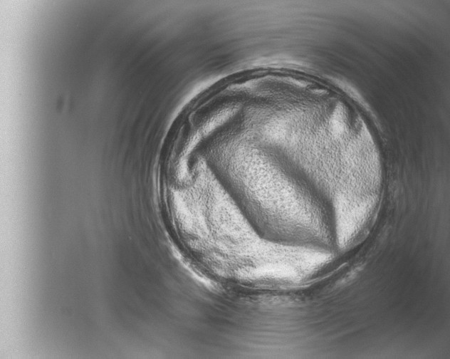 X0000080161032200612302148