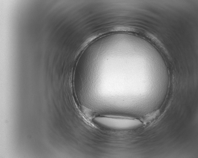 X0000080161033200612302148