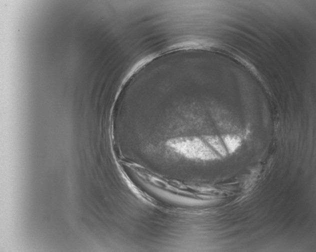 X0000080161034200612302148